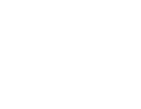 logo-icon